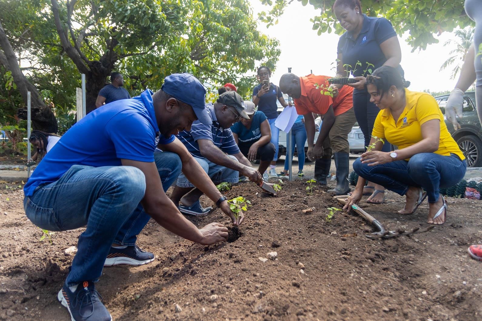 In alignment with this year's theme volunteers got their hands dirty planting vegetation in the garden.